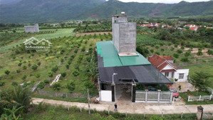ai nhanh tay có ngay cỗ máy in tiền
bán nhà yến siêu lợi nhuận thu 25-30tr/tháng