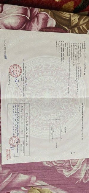 chí chủ chào bán lô góc đẹp tại hoa động phường thủy nguyên hải phòng-dt-98,3 m -ngang 7,5 m