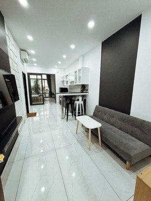 cho thuê căn hộ độc lập trong toà nhà biệt thự ở lý chính thắng, 15 triệu, 55m2, 1pn, 1wc, view đẹp