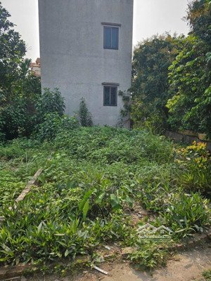 bán đất tại xã khánh hà, thường tín, hà nội, 2,2 tỷ, 40 m2 giá ưu đãi