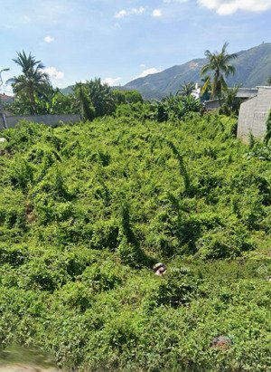 cần bán đất mt hl46, vĩnh trung, nha trang, khánh hoà. giá 700tr/120m2,shr