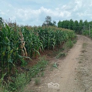 bán lô đất đẹp mua sinh lời cao . tương lai sáng cho cuộc sống vùng ngoại ô