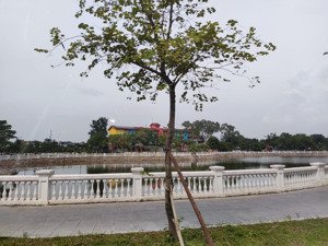 bán mảnh đất lô góc 550m xây biệt phủ - mặt quay các ngả - ô tô tải tránh- sát vinhome ocean park 1