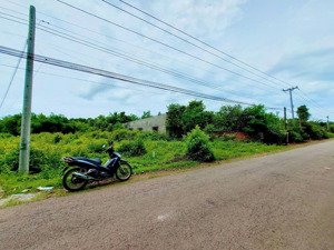 xã lỗ lô đất mặt tiền nhựa xuân thọ, xuân lộc. dt: 6 x 52m. giá: 790tr