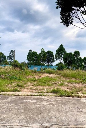 bán đất tại lê lai, hòa lợi, bến cát, 900 triệu, 300 m2 đẹp, gần khu công nghiệp, cho thuê đầu tư.