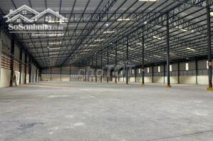 Cho Thuê 8.000m2 Nhà Xưởng Trong KCN TP Mới Bình Dương PCCC Tự Động