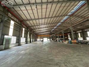 Cho Thuê 3.500m2 Nhà Xưởng Mới Trong KCN Thủ Dầu Một Bình Dương