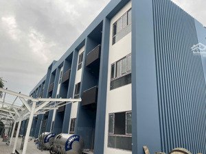 cho thuê cc mini 2pn, 1vs, 60m2 giá 5,5 triệu tại lê hồng phong, p phú lợi, thủ dầu một