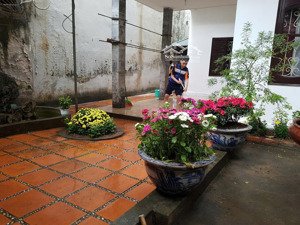 bán nhà riêng ngõ 3m, 24 tỷ, 193m2, 2 tầng, sổ hồng lâu dài, cách phố 150m