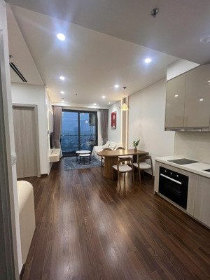 tôi cần cho thuê căn hộ 1n+ vin tây mỗ mới hoàn thiện,nội thất đẹp,hướng mát giá 8.5tr 