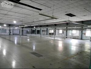 Cho thuê kho xưởng 4200m2 Tân Thới Nhất Quận 12