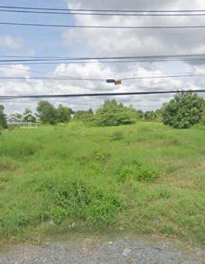 kẹt vốn cần bán gấp đất mtđ tôn đức thắng, châu văn liêm, cần thơ, gần trường thpt, 120m2 shr