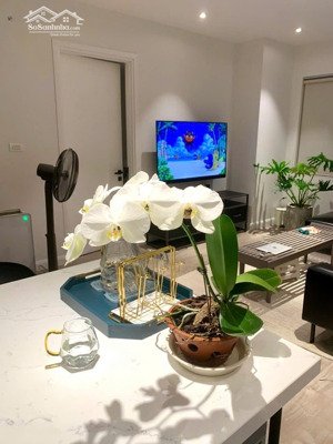 bán căn hộ chung cư tại sudico mỹ đình, nhỉnh 4 tỷ, 57 m2, 2pn, 1wc