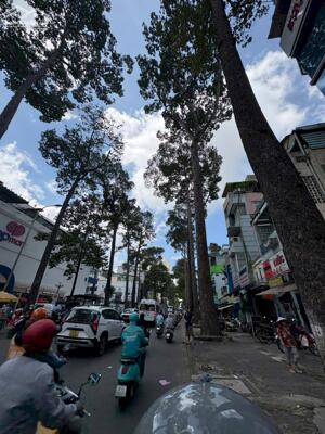 bán nhà mặt tiền Lý Thường Kiệt - 3*15 - 5 tầng - giá tốt 12.5 tỷ