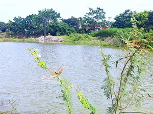 nóng hổi siêu phẩm view hồ tại thôn 2 phú cát khối tài sản đẹp có 1 0 2 này 139.6m2 mặt tiền 5.6m