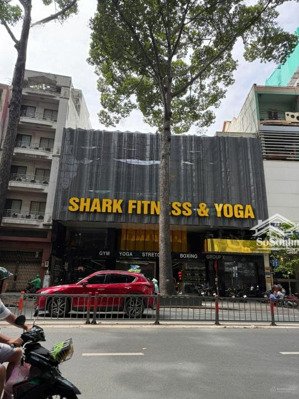 (hot) 20x25m mặt tiền đường 3 tháng 2 quận 10. vị trí siêu vip đối diện hà đô. giá chỉ 300 tỷ