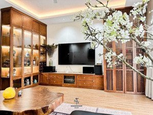 cần bán nhà đẹp phân lô khu đô thị green park vĩnh hưng hà nội