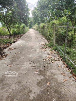 vườn trái cây có 60mv thổ cư tại bình lộc, 1,18 tỷ, 1000m2