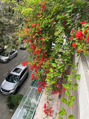 bán nhà văn phú, phân lô kinh doanh, không lỗi, vỉa hè rộng 68m x 5t giá 16 tỷ