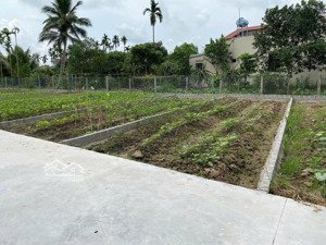 chính chủ bán đất 60m2 tại xã bát trang, an lão, hải phòng. đường oto 7c vào đất. giá chỉ 650tr