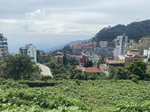 cần cho thuê đất ngay tdp1 thị trấn tam đảo , kinh doanh dịch vụ cực tốt lh 