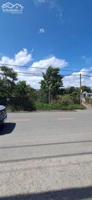 Đất thổ cư 11×37 mặt tiền Đoàn Nguyễn Tuấn, Bình Chánh 8tỷ3