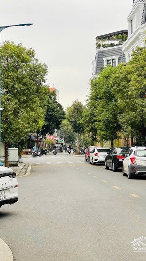 căn biệt thự song lập dự án hoàng huy riverside thô 223m. ngang 10m. giá 20,9 tỷ