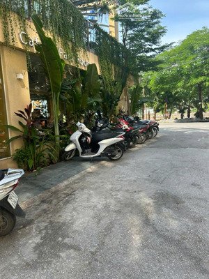 bán nhà ngõ 34 hoàng cầu đang kinh doanh cafe, dt 163m x 4 tầng, mặt tiền 8m, đường 8m, giá 39.8 tỷ