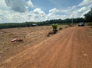 bàn đất sào bình dương dt 2463m2 giá 690 triệu cách chợ an thái 3 phút shr