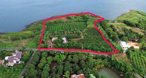 bán khoảng 6 sào 8 (6785m2) đất xã kim long, tp.hcm. giá 10 tỷ