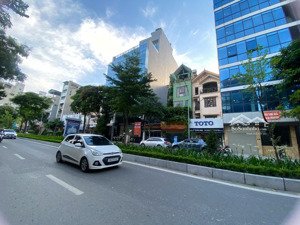 nhỉnh 400tr/m2 cần bán gấp nhà phố hào nam gần ga cát linh 155m2*7.3m mt. giá đầu tư.