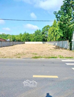 kẹt tiền bán 340m2 đất thổ cư sổ riêng sát chợ, trường học dân cư ở đông. giá 245tr/sổ