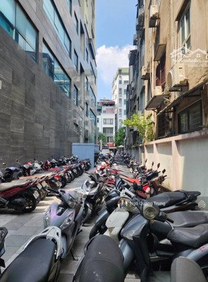 siêu phẩm nguyễn trãi, giá bán đầu tư, sát vũ trọng phụng, dân trí ở sướng, tiện ích bạt ngàn