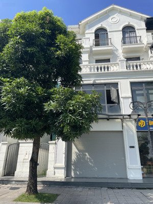 chỉ 200tr/m2 sở hữu nhà mặt phố 40m sổ vĩnh viễn xẻ khe 94,5 m2, kinh doanh sầm uất vinhomes ocp 1