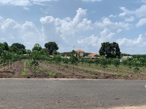 bán đất 300m2 tại tân phước khánh giá 800triệu đang cho thuê 15triệu/tháng, gần kcn.