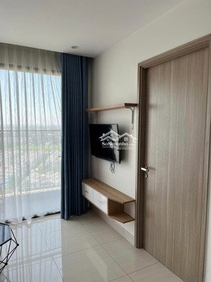 cho thuê căn hộ cao cấp vinhome ocean park