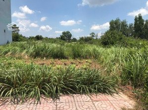 86m2 bán giá ngộp còn 400tr. từ ql50 chạy vô 50m tới đất, đường trước đất 8m, shr . lh 