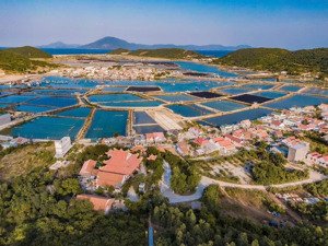 bán lô đất 800m mặt tiền đường lớn 65m lý tưởng xây dựng căn hộ/thương mại