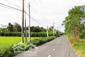300m2 full thổ mặt tiền đường nhựa 9m, về q1 tphcm chỉ 45phut