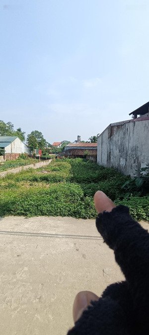 bán đất 280m2 tại xã tân minh, sóc sơn, hà nội, giá 3,65 tỷ