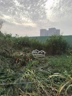 bán đất nhỉnh 15 tỷ, 938 m2, sau chợ phú thuận, quận 7