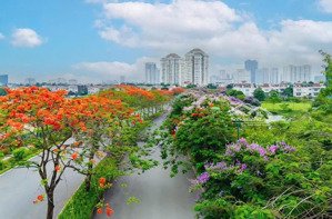 gia đình tôi cần bán căn biệt thự 126m2 khu đô thị ciputra tây hồ. lh 