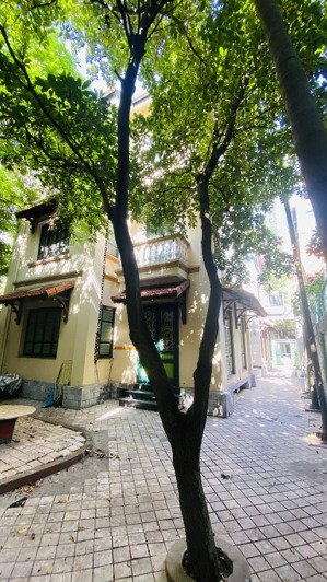 bán gấp! biệt thự 250m2 x 12m mặt tiền - ô tô - phố tú mỡ - vũ phạm hàm