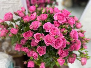 duy nhất 1 căn phân lô, 6 tầng, thang máy, ô tô vào nhà, võng thị, tây hồ, 48m, 12.9 tỷ