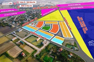 [chính chủ] bán đất phân lô đấu giá cạnh khu công nghiệp thăng long 4 sumitomo đông văn,tpthanh hóa