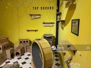 bán nhà đẹp trung tâm thành phố cách biển 300m: 