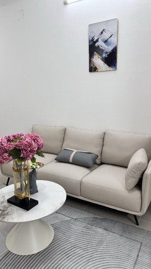 căn gốc view sông sổ sẳn cạnh phú mỹ hưng mà chỉ 3t950