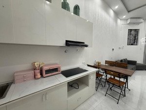 bán nhà phố phan kế bính, ngõ bagac, thông đào tấn, nhà mới cải tạo full nội thất xịn sò, 34m*2t