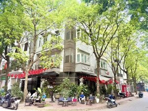 phố tố hữu, hà đông, lô góc view thoáng, kinh doanh, dt 115m x 5t, thang máy, giá 25 tỷ