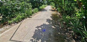 bán nền: 310m² (5.2m x 60m, thổ 100%) đường đan 3m, xã phương trà cũ,